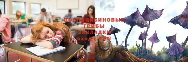 соль ск Козельск
