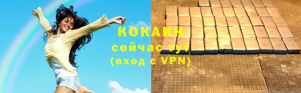 соль ск Козельск