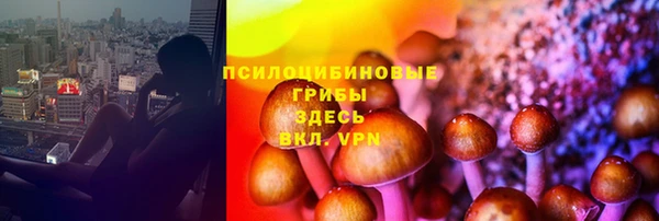 эйфоретик Козловка