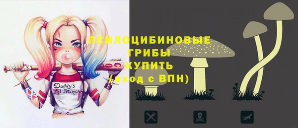 соль ск Козельск