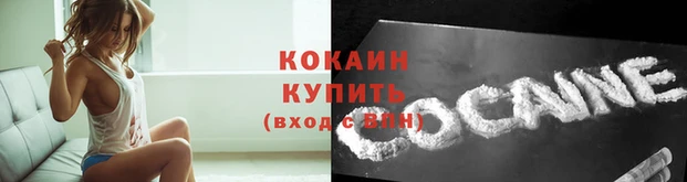 соль ск Козельск