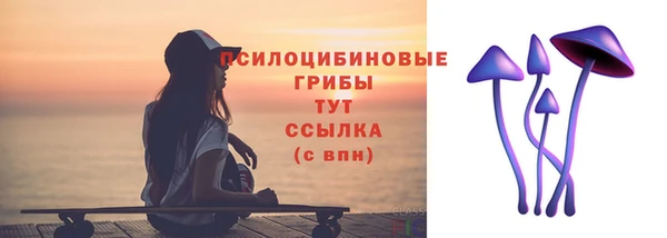 эйфоретик Козловка