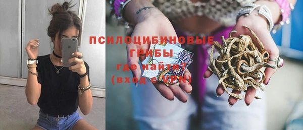 прущая мука Кодинск
