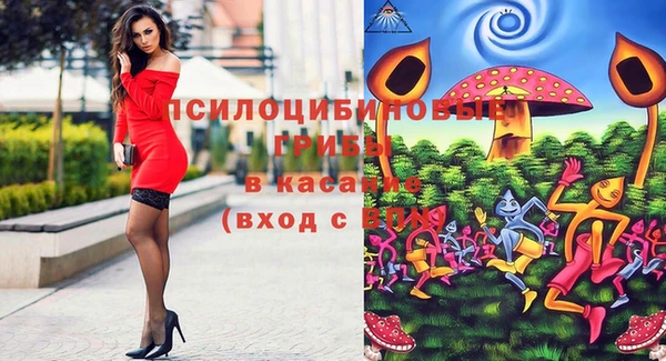 прущая мука Кодинск
